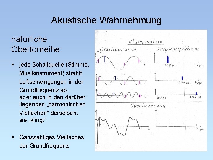 Akustische Wahrnehmung natürliche Obertonreihe: § jede Schallquelle (Stimme, Musikinstrument) strahlt Luftschwingungen in der Grundfrequenz