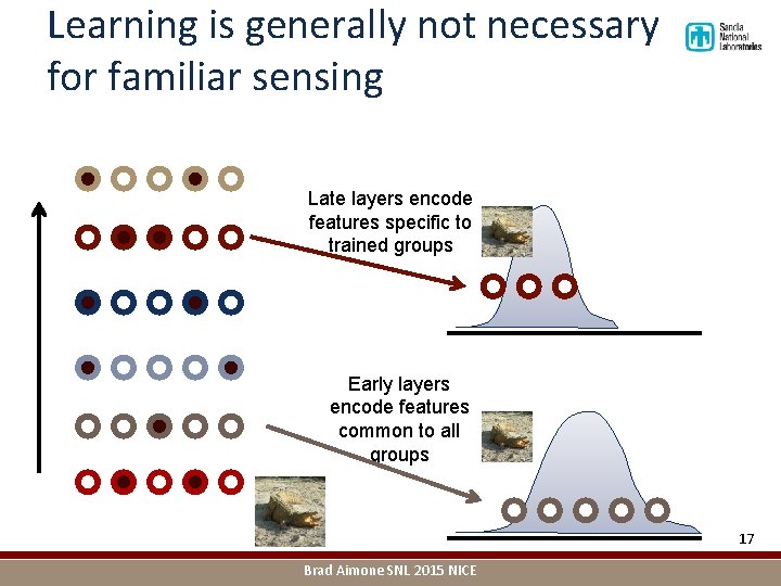 Learning is generally not necessary for familiar sensing Late layers encode features specific to