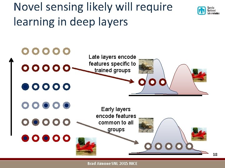 Novel sensing likely will require learning in deep layers Late layers encode features specific