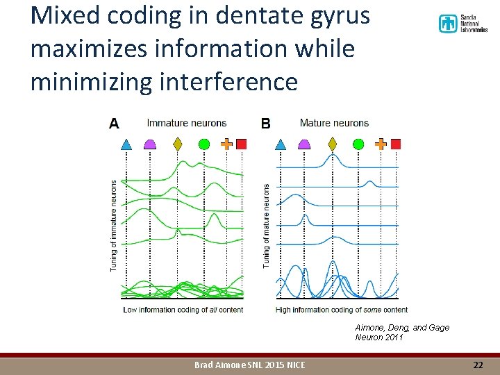 Mixed coding in dentate gyrus maximizes information while minimizing interference Aimone, Deng, and Gage