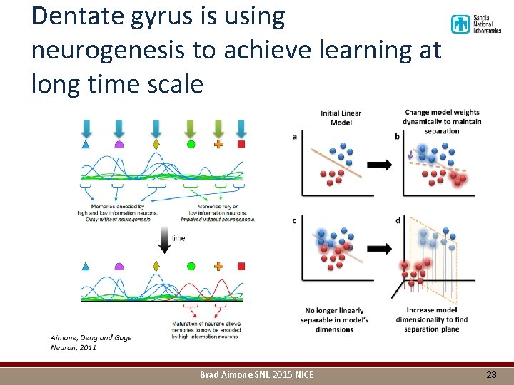 Dentate gyrus is using neurogenesis to achieve learning at long time scale Brad Aimone