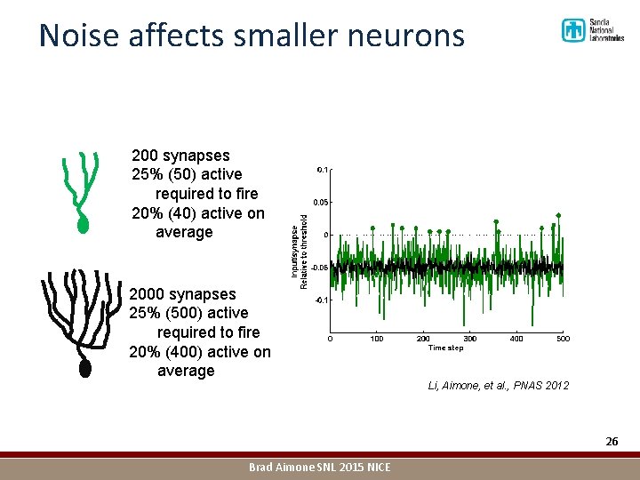 Noise affects smaller neurons 200 synapses 25% (50) active required to fire 20% (40)