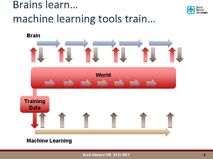 Brains learn… machine learning tools train… Brain World Training Data Machine Learning Brad Aimone