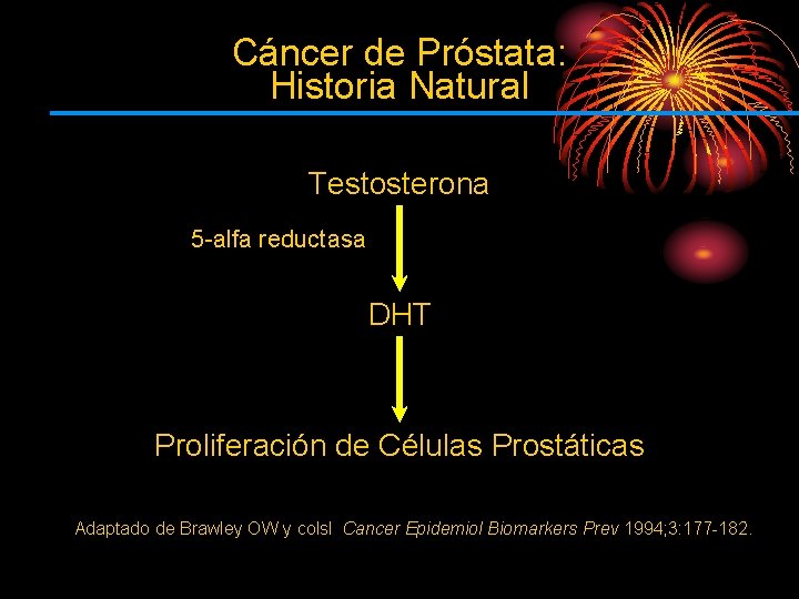 Cáncer de Próstata: Historia Natural Testosterona 5 -alfa reductasa DHT Proliferación de Células Prostáticas