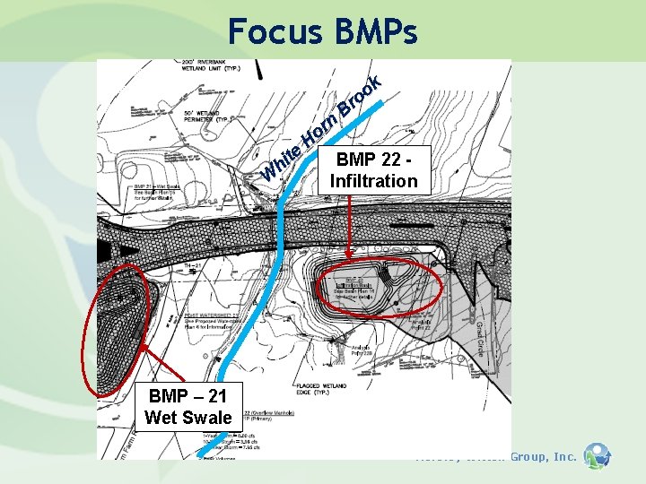 Focus BMPs k o o Br n r Ho te i BMP 22 h