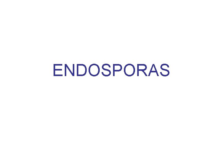 ENDOSPORAS ENDOSPORAS