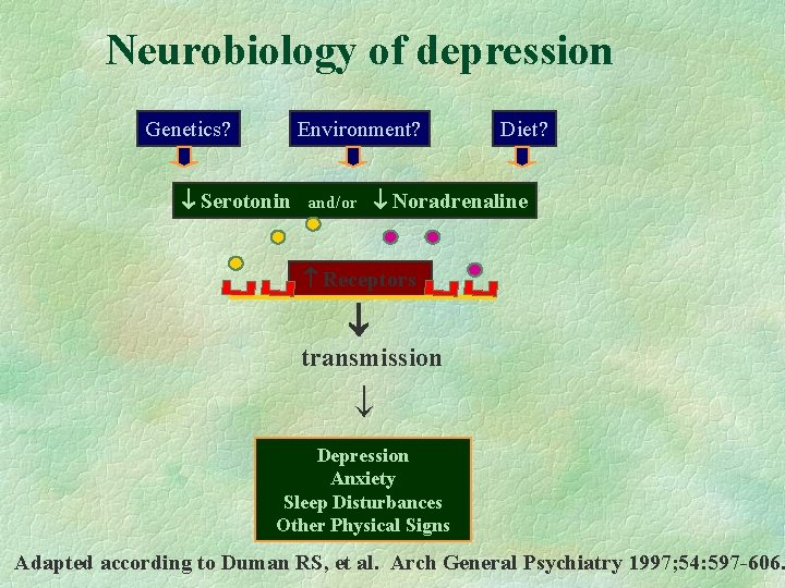 Neurobiology of depression Genetics? Environment? Serotonin and/or Diet? Noradrenaline Receptors transmission Depression Anxiety Sleep