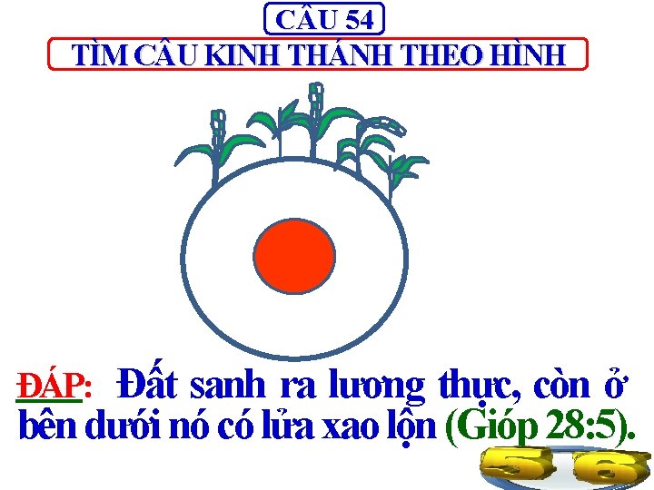 C U 54 TÌM C U KINH THÁNH THEO HÌNH Đất sanh ra lương