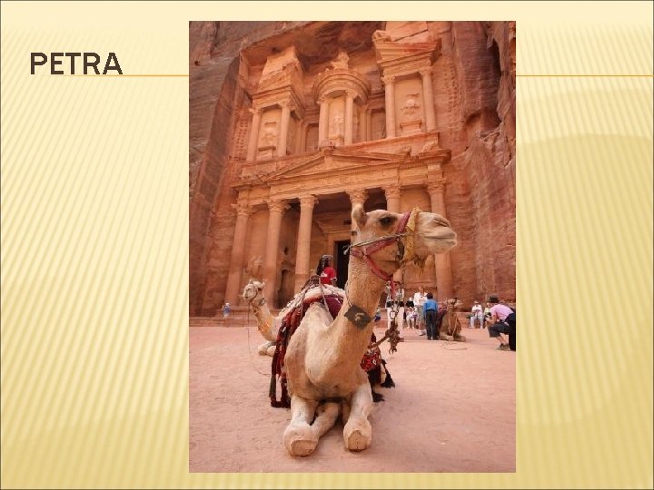 PETRA 