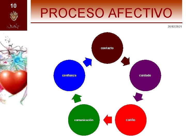 10 PROCESO AFECTIVO 26/02/2021 contacto confianza comunicación cuidado cariño 