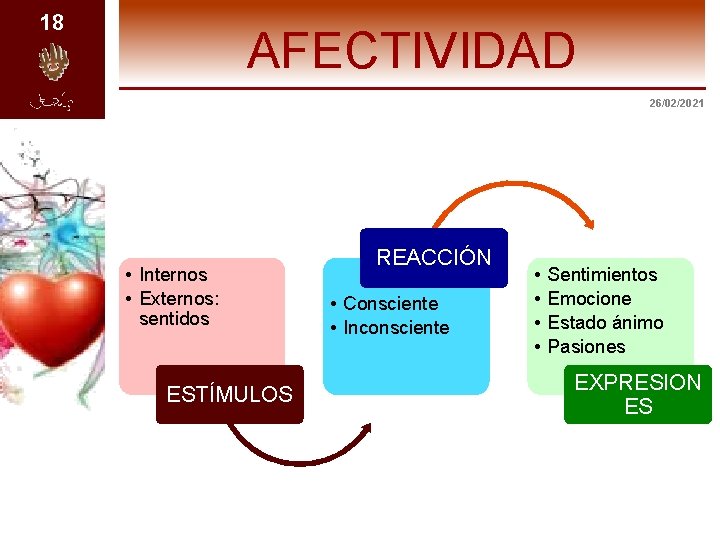 18 AFECTIVIDAD 26/02/2021 • Internos • Externos: sentidos ESTÍMULOS REACCIÓN • Consciente • Inconsciente