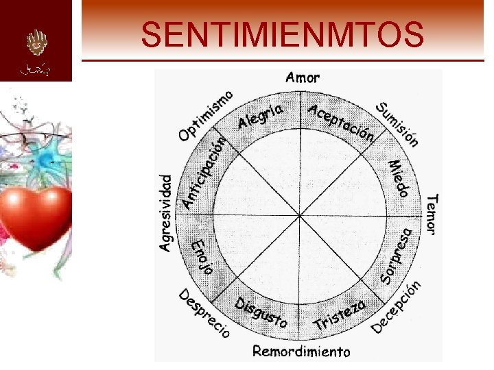 SENTIMIENMTOS 