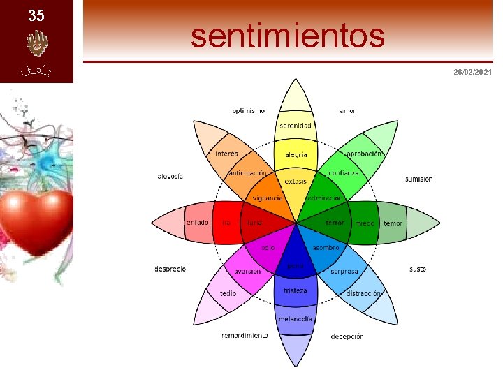 35 sentimientos 26/02/2021 