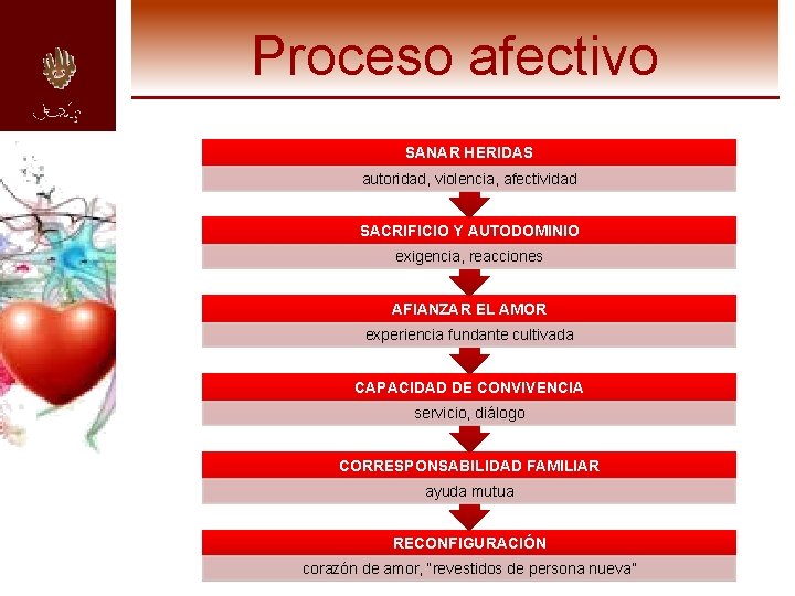 Proceso afectivo SANAR HERIDAS autoridad, violencia, afectividad SACRIFICIO Y AUTODOMINIO exigencia, reacciones AFIANZAR EL