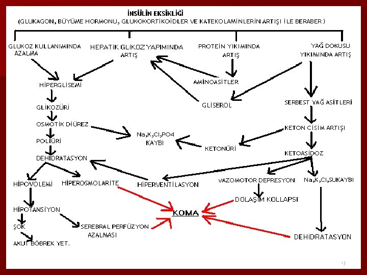 Sonraki Adımlar n Dinleyicilerinizin yapması gereken işlemleri özetleyin n Konuyu izlemek için sizin yapmanız