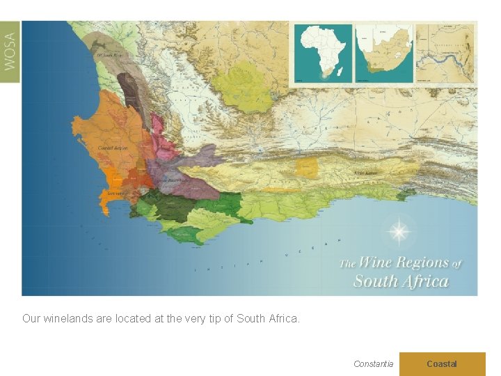 Our winelands are located at the very tip of South Africa. Constantia Coastal 