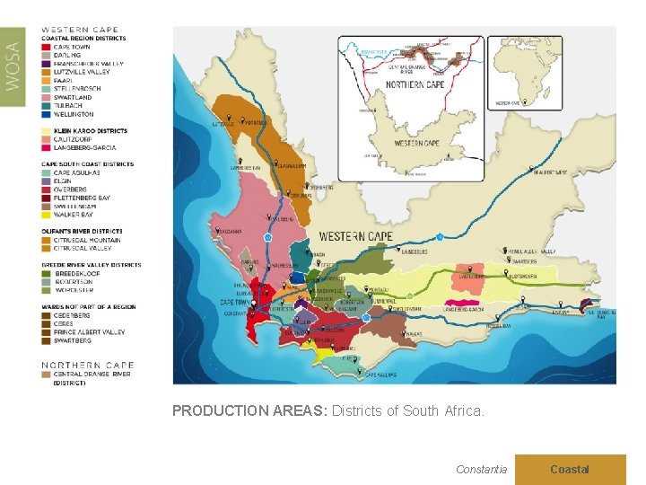 PRODUCTION AREAS: Districts of South Africa. Constantia Coastal 