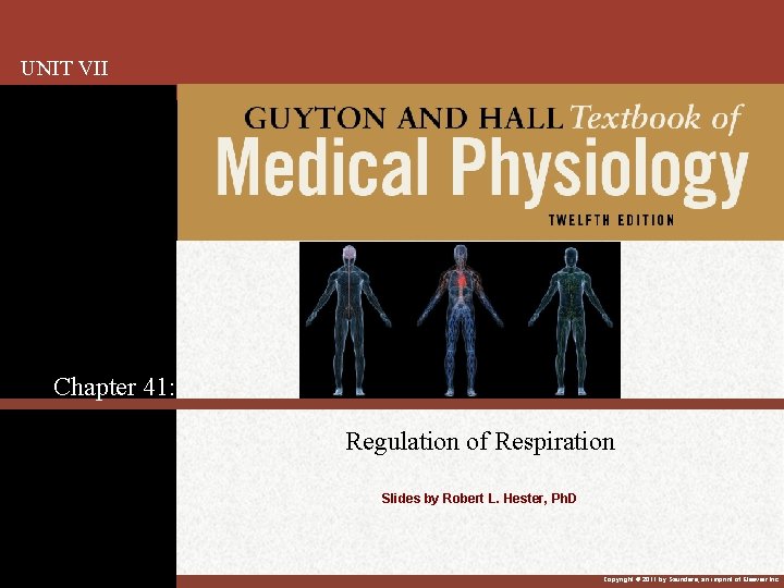 UNIT VII Chapter 41: Regulation of Respiration Slides by Robert L. Hester, Ph. D