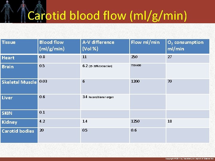 Carotid blood flow (ml/g/min) Tissue Blood flow (ml/g/min) A-V difference (Vol %) Flow ml/min