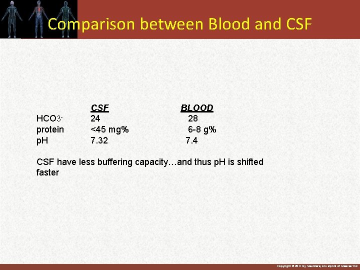Comparison between Blood and CSF HCO 3 protein p. H CSF 24 <45 mg%