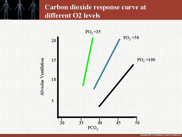 Carbon dioxide response curve at different O 2 levels PO 2 =35 PO 2