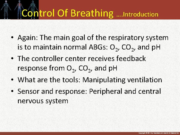 Control Of Breathing …. Introduction • Again: The main goal of the respiratory system