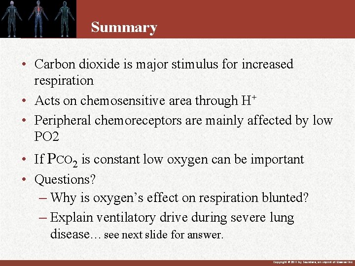 Summary • Carbon dioxide is major stimulus for increased respiration • Acts on chemosensitive