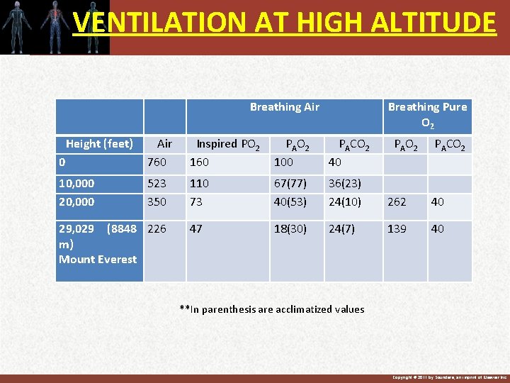 VENTILATION AT HIGH ALTITUDE Height (feet) Breathing Air Breathing Pure O 2 0 Air