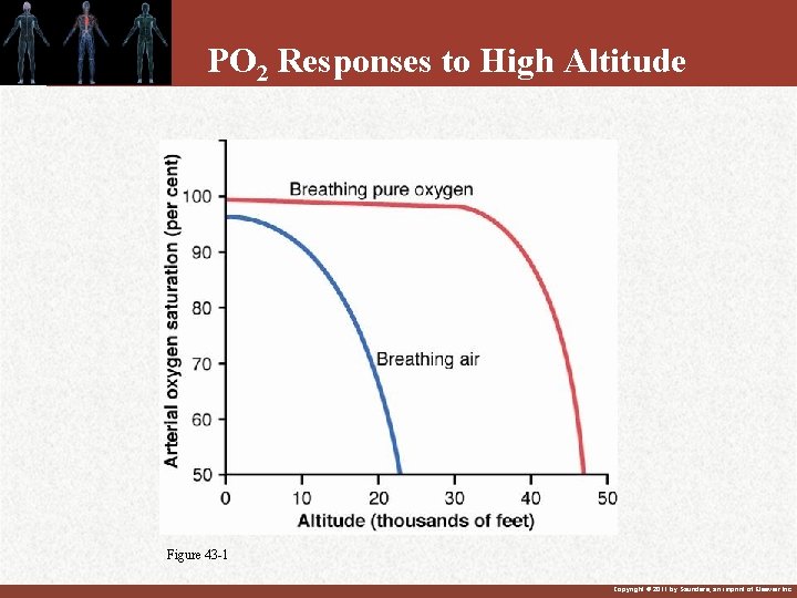 PO 2 Responses to High Altitude Figure 43 -1 Copyright © 2011 by Saunders,