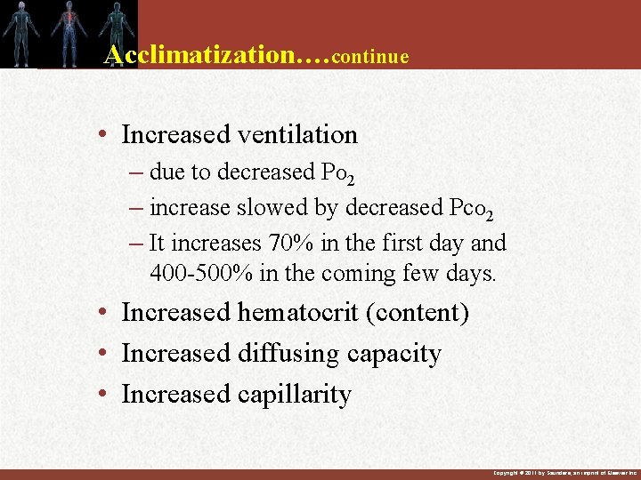 Acclimatization…. continue • Increased ventilation – due to decreased PO 2 – increase slowed