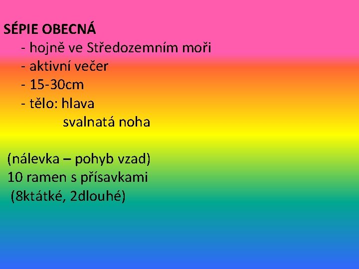 SÉPIE OBECNÁ - hojně ve Středozemním moři - aktivní večer - 15 -30 cm