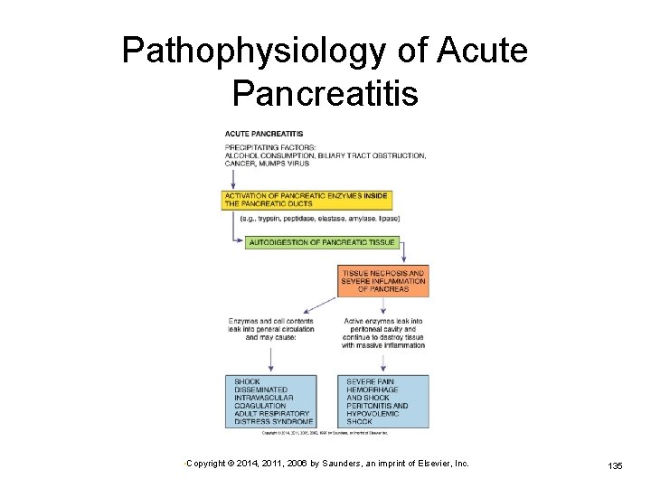 Pathophysiology of Acute Pancreatitis • Copyright © 2014, 2011, 2006 by Saunders, an imprint