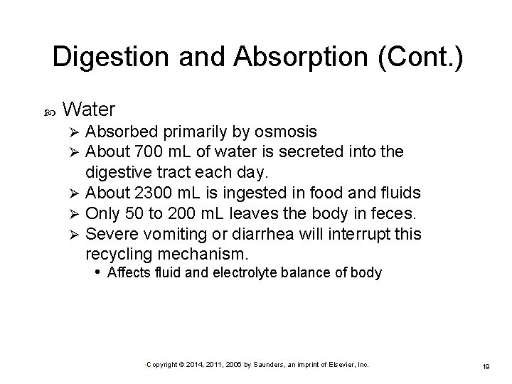 Digestion and Absorption (Cont. ) Water Absorbed primarily by osmosis About 700 m. L
