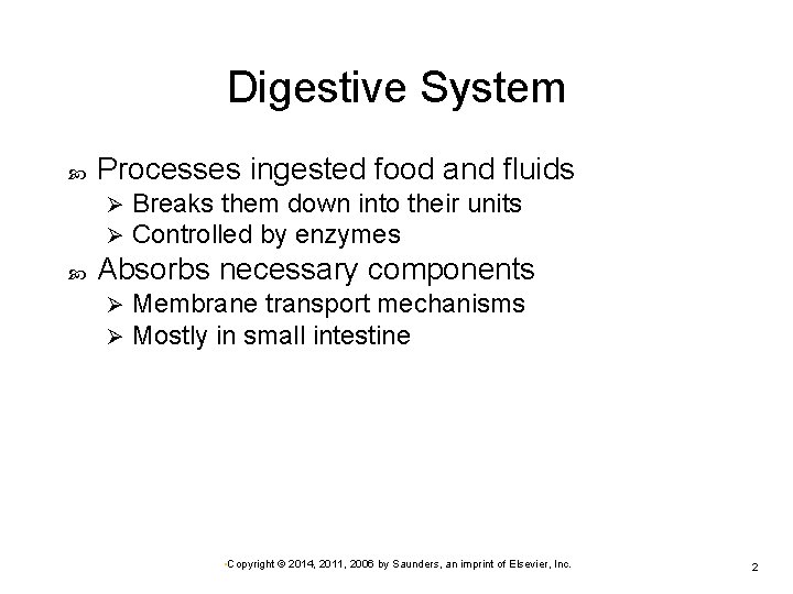 Digestive System Processes ingested food and fluids Ø Ø Breaks them down into their