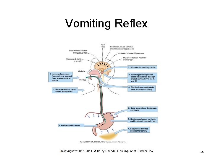 Vomiting Reflex • Copyright © 2014, 2011, 2006 by Saunders, an imprint of Elsevier,