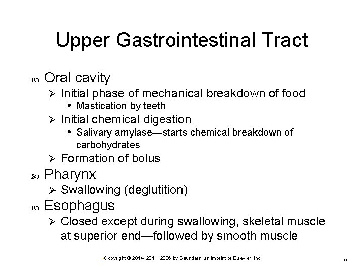 Upper Gastrointestinal Tract Oral cavity Initial phase of mechanical breakdown of food • Mastication