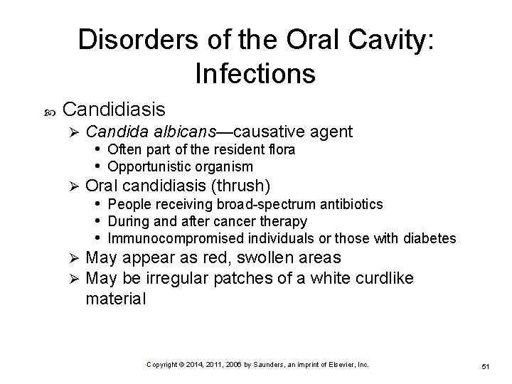 Disorders of the Oral Cavity: Infections Candidiasis Candida albicans—causative agent • Often part of