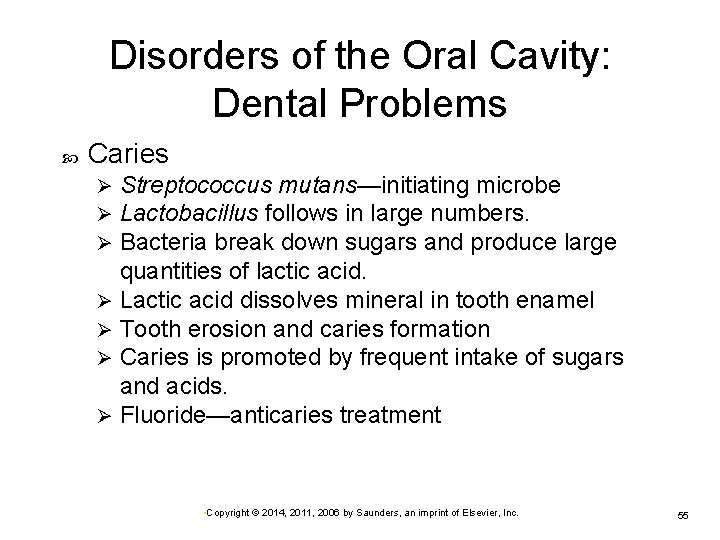 Disorders of the Oral Cavity: Dental Problems Caries Streptococcus mutans—initiating microbe Lactobacillus follows in