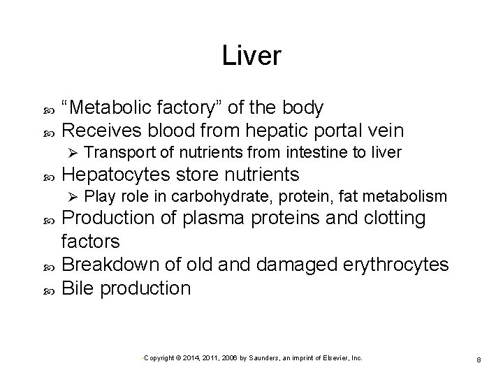 Liver “Metabolic factory” of the body Receives blood from hepatic portal vein Ø Hepatocytes