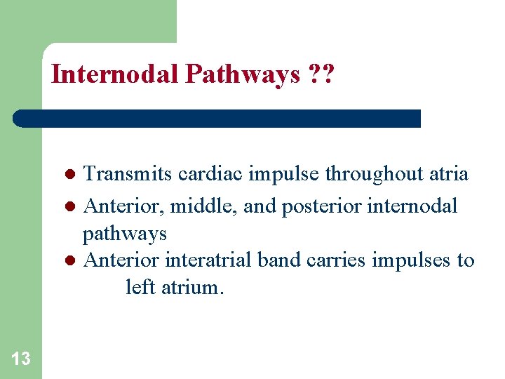 Internodal Pathways ? ? Transmits cardiac impulse throughout atria l Anterior, middle, and posterior