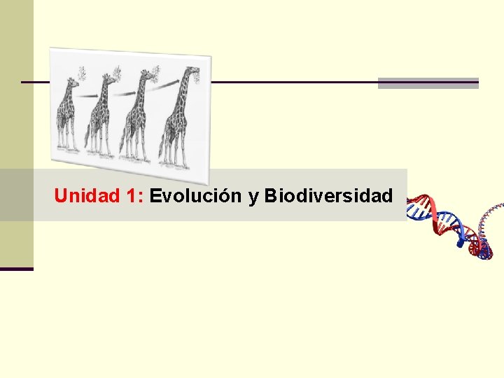 Unidad 1: Evolución y Biodiversidad 