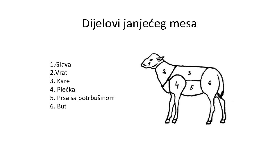 Dijelovi janjećeg mesa 1. Glava 2. Vrat 3. Kare 4. Plečka 5. Prsa sa Dijelovi janjećeg mesa 1. Glava 2. Vrat 3. Kare 4. Plečka 5. Prsa sa