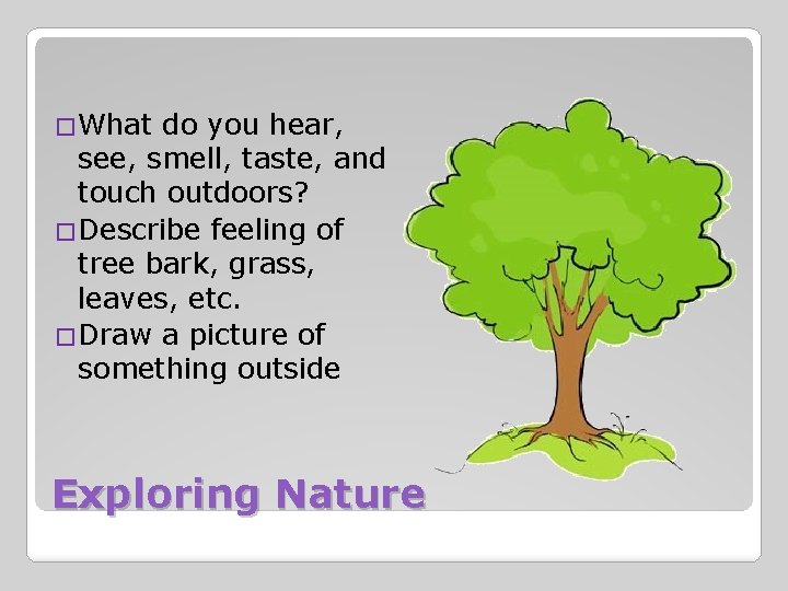 �What do you hear, see, smell, taste, and touch outdoors? �Describe feeling of tree