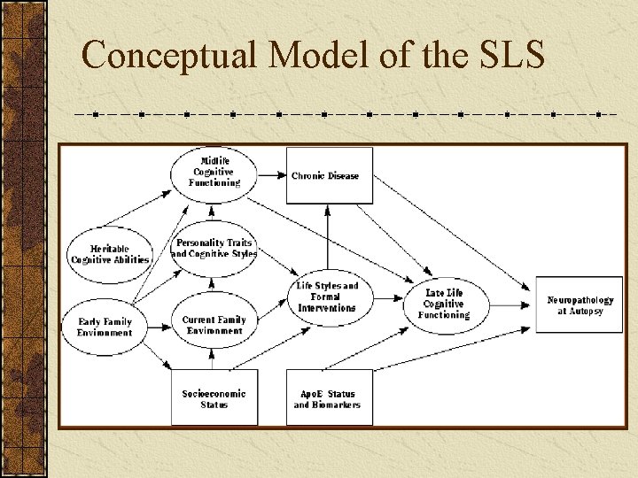 Conceptual Model of the SLS 