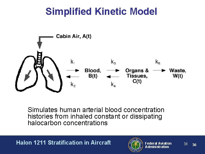 Simplified Kinetic Model Simulates human arterial blood concentration histories from inhaled constant or dissipating