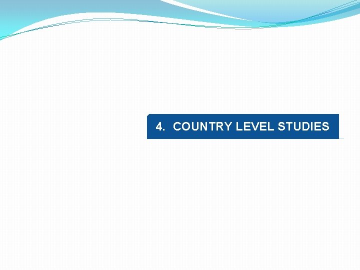 4. COUNTRY LEVEL STUDIES 