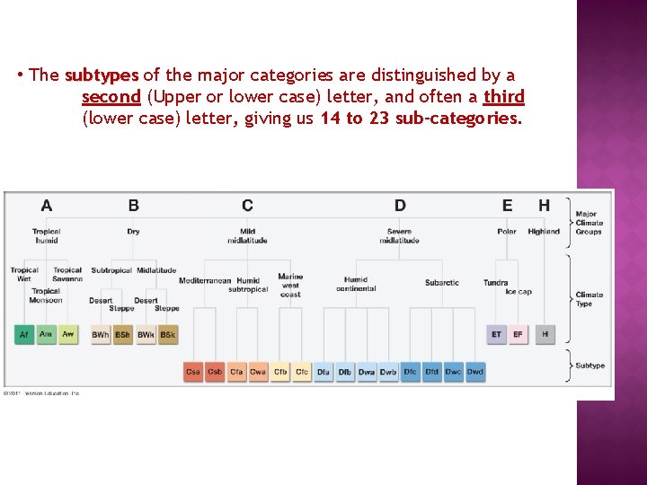  • The subtypes of the major categories are distinguished by a second (Upper