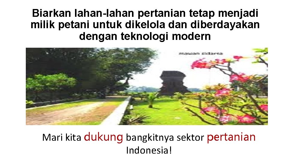 Biarkan lahan-lahan pertanian tetap menjadi milik petani untuk dikelola dan diberdayakan dengan teknologi modern Biarkan lahan-lahan pertanian tetap menjadi milik petani untuk dikelola dan diberdayakan dengan teknologi modern