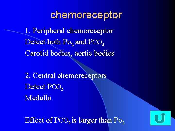 chemoreceptor 1. Peripheral chemoreceptor Detect both Po 2 and PCO 2 Carotid bodies, aortic