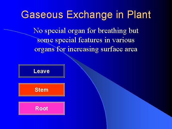 Gaseous Exchange in Plant No special organ for breathing but some special features in